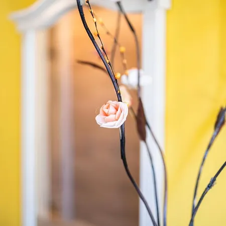 Modern - Meters Away From The *