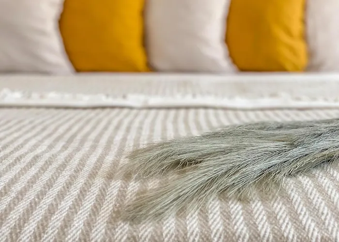 Modern - Meters Away From The 帕莫瑞